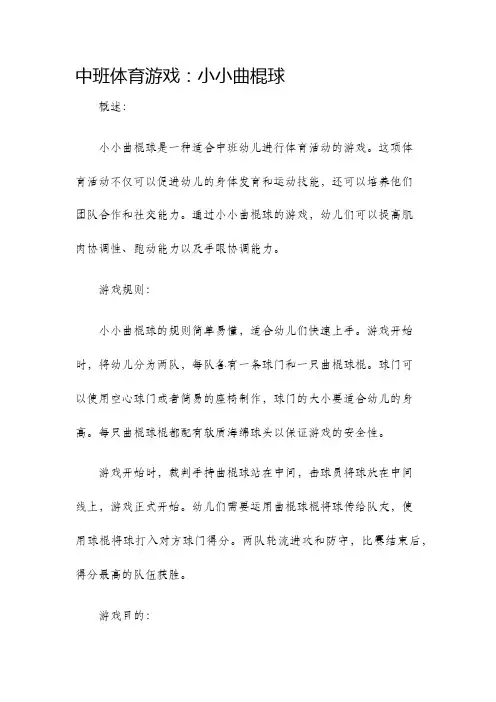中班体育游戏小小曲棍球