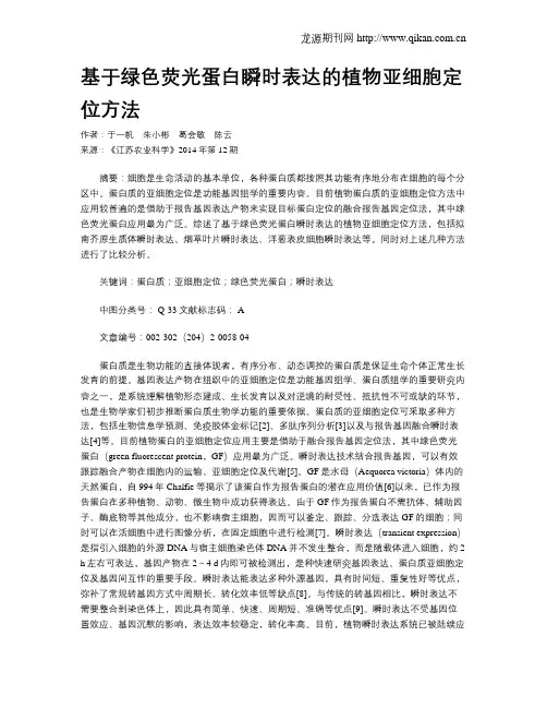 基于绿色荧光蛋白瞬时表达的植物亚细胞定位方法