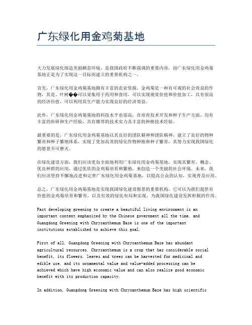 广东绿化用金鸡菊基地