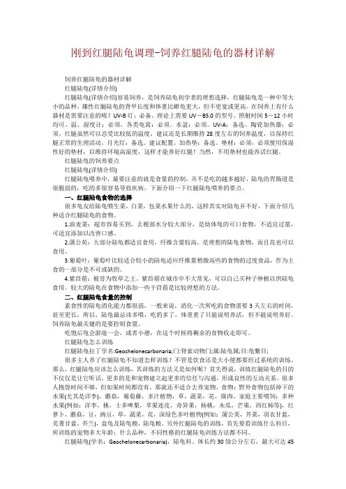 刚到红腿陆龟调理-饲养红腿陆龟的器材详解