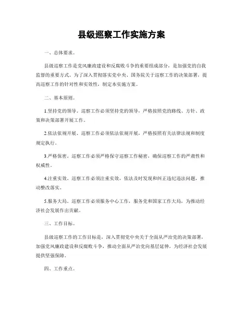 县级巡察工作实施方案