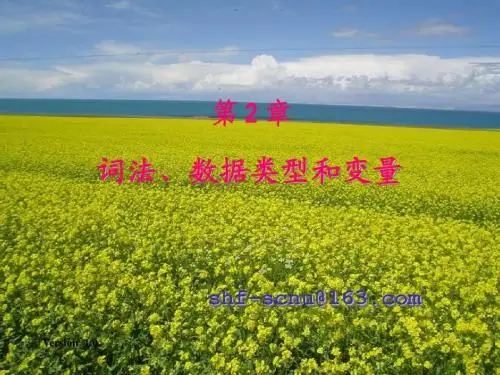 JAVA Script 教程PPT