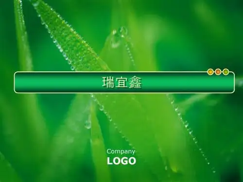 公司简介模板