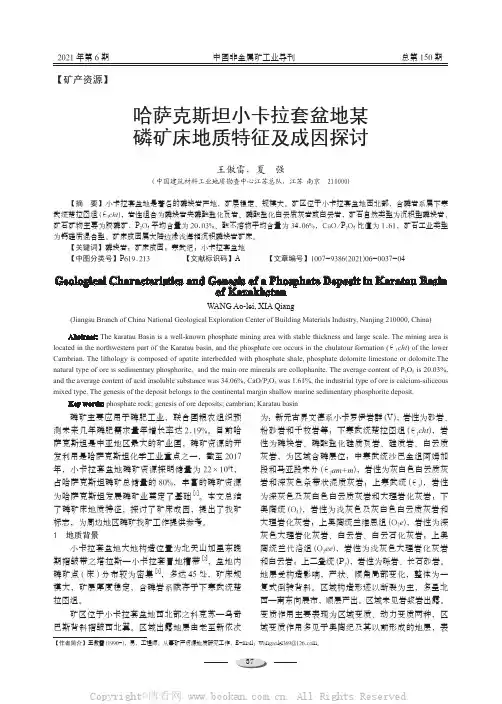 哈萨克斯坦小卡拉套盆地某磷矿床地质特征及成因探讨