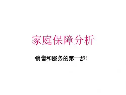 家庭保障分析