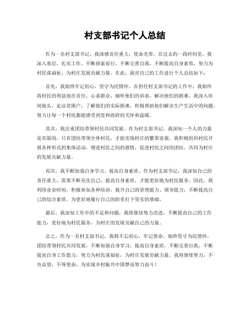 村支部书记个人总结