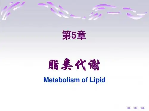 生化第五章-脂类代谢