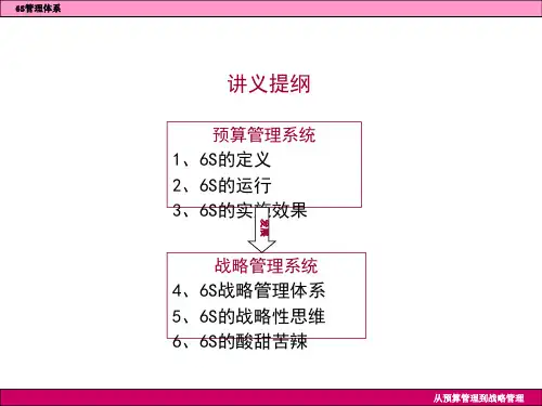 精选6S管理的实施效果ppt32页
