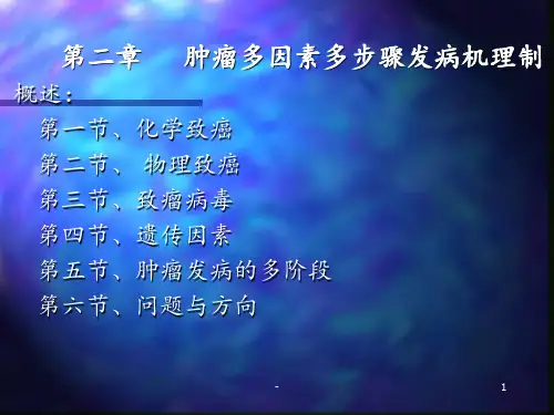 学习课件第2章_肿瘤多因素多步骤发病机理制ppt课件