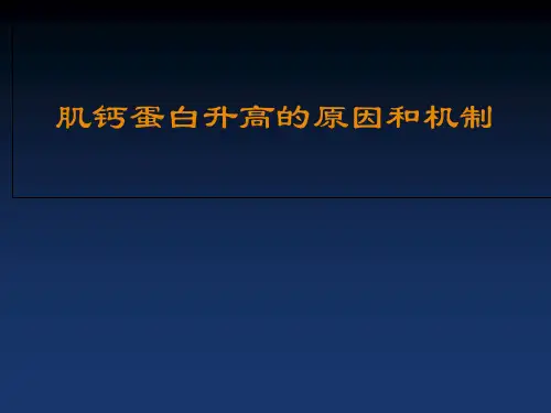 肌钙蛋白增高的意义PPT课件