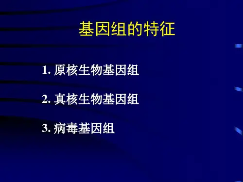 基因组的结构特点
