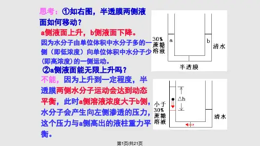 高中生物必修一第四章复习课件PPT课件