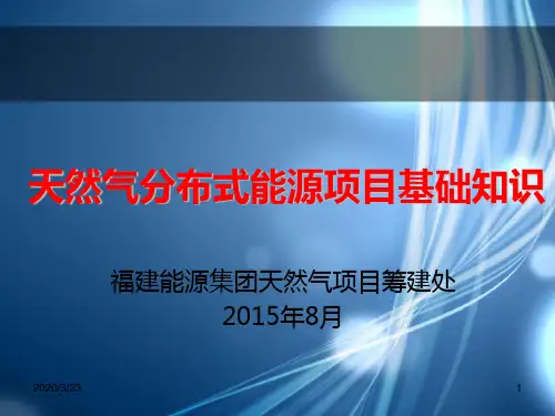 天然气分布式能源项目简介PPT课件