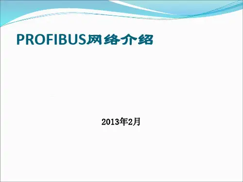 PROFIBUS DP网络故障处理培训课件资料