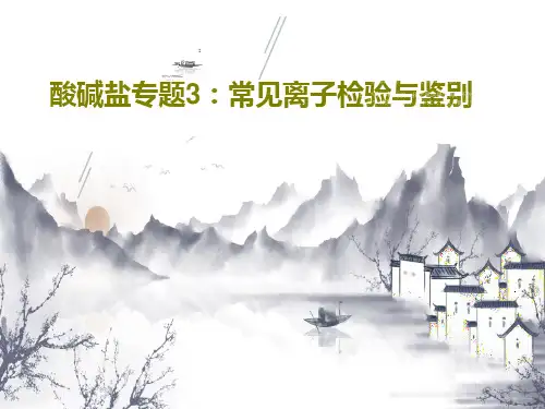 酸碱盐专题3：常见离子检验与鉴别共24页文档