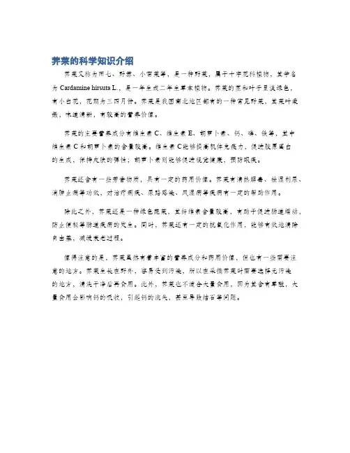 荠菜的科学知识介绍