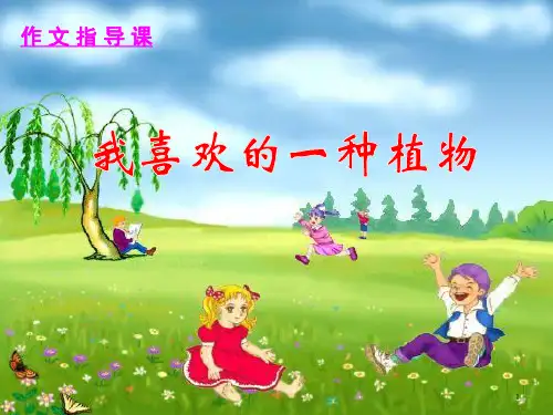 作文(写植物)PPT演示课件