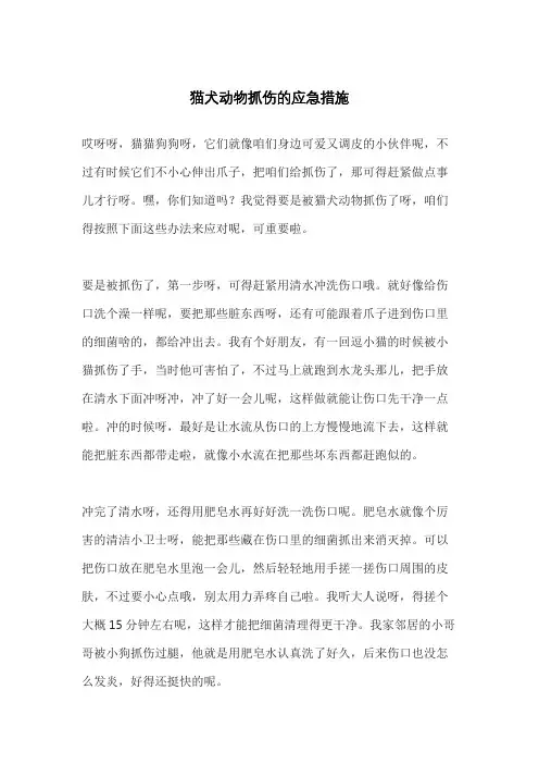 猫犬动物抓伤的应急措施