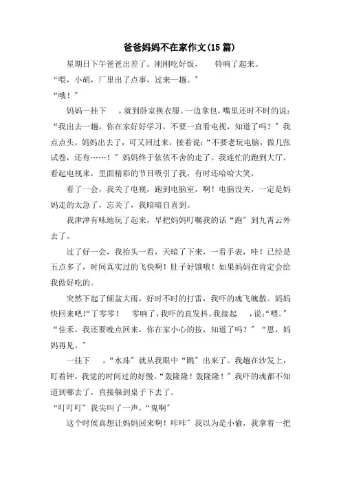 爸爸妈妈不在家作文(15篇)精编