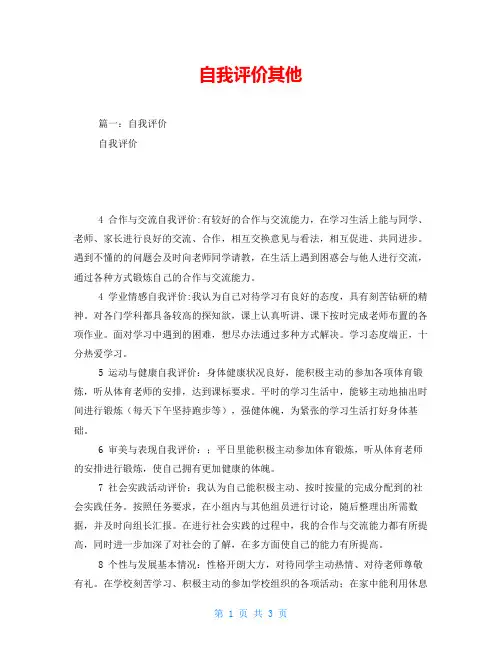 自我评价其他