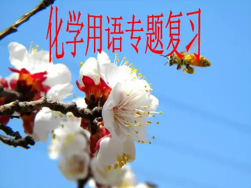 九年级化学化学用语专题复习-课件