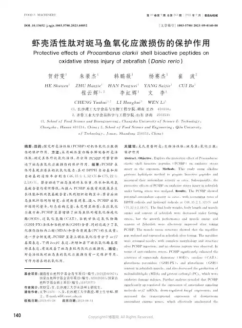 虾壳活性肽对斑马鱼氧化应激损伤的保护作用
