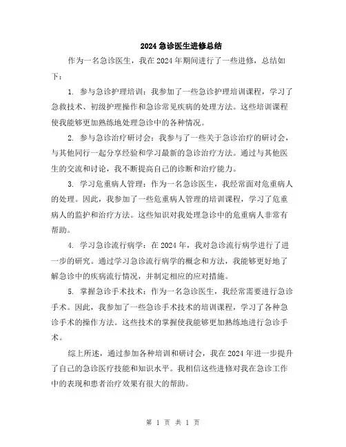 2024急诊医生进修总结