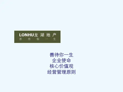 龙湖企业文化PPT