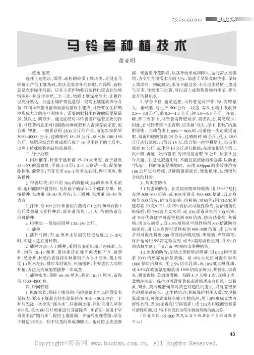 马铃薯种植技术