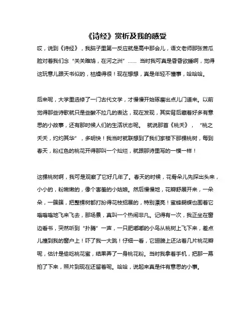 作文《《诗经》赏析及我的感受》