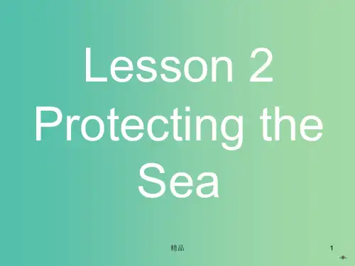 高中英语 7.2Protecting the Sea课件 北师大版必修3