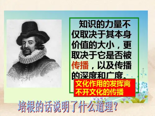 人教版高中政治3.2文化在交流中传播(共31张PPT)教育课件