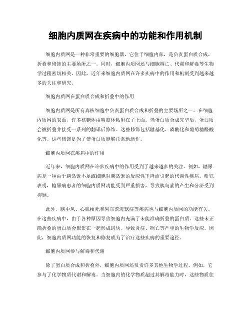细胞内质网在疾病中的功能和作用机制