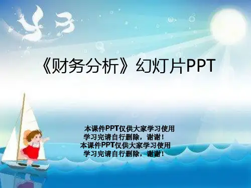 《财务分析》幻灯片PPT