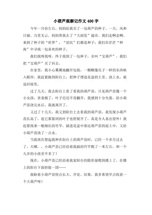 小葫芦观察记作文400字