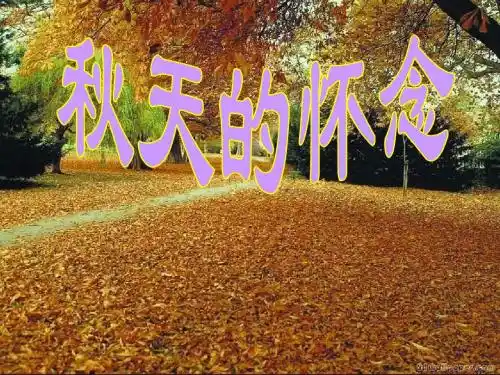 初中语文《秋天的怀念》(共25张)ppt60(微课件)