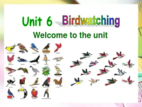 牛津译林版英语八年级上册-8A-Unit6-Welcome-to-the-unit全