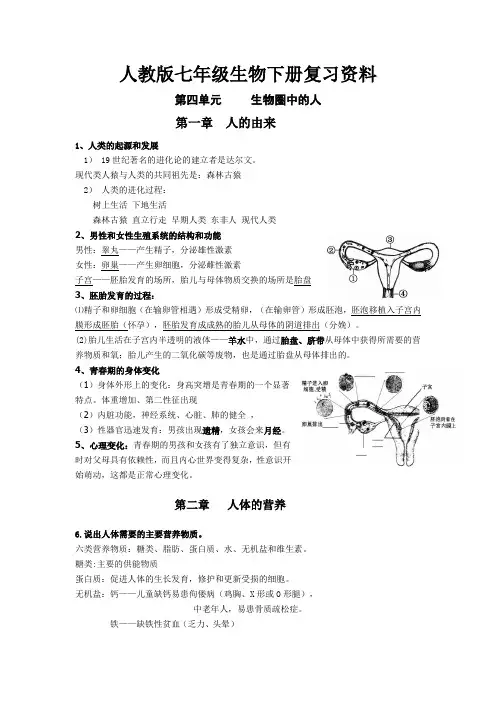 人教版七年级生物下册复习资料