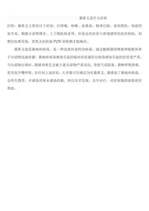 猫鼻支是什么症状