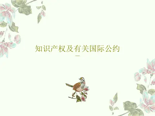 知识产权及有关国际公约共56页