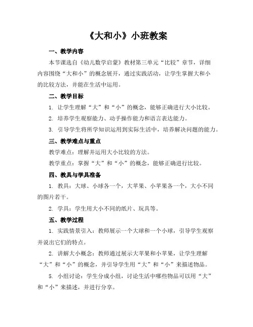 《大和小》小班教案