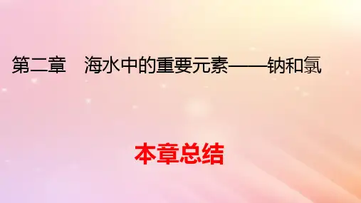 新教材高中化学第2章海水中的重要元素____钠和氯本章总结pptx课件新人教版必修第一册