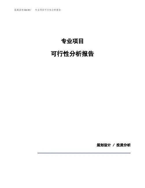 专业项目可行性分析报告(模板参考范文)