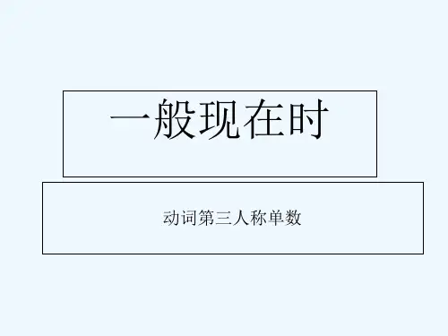 小升初小学英语语法总复习现在进行时一般现在时 PPT
