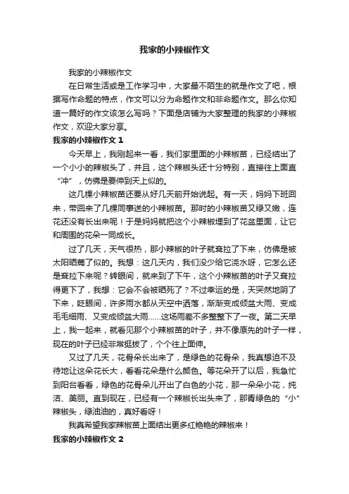 我家的小辣椒作文