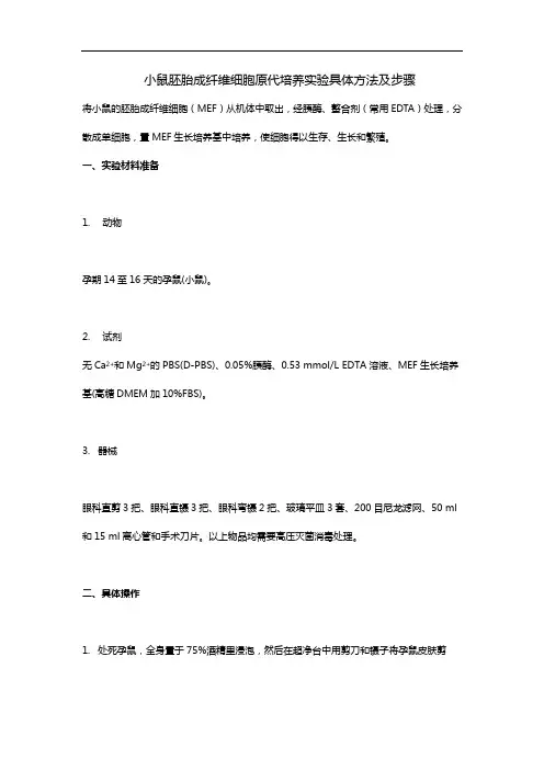 小鼠胚胎成纤维细胞原代培养实验具体步骤及方法