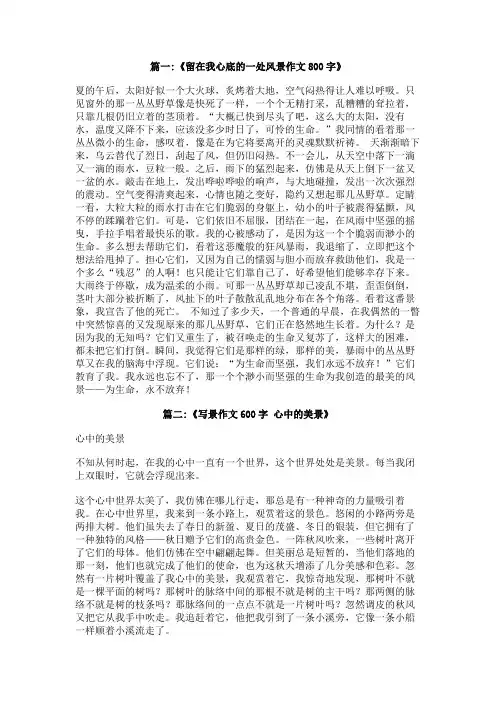心中的美景,作文,800字