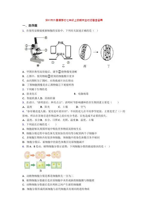 深圳市外国语学校七年级上册期末生物试卷含答案