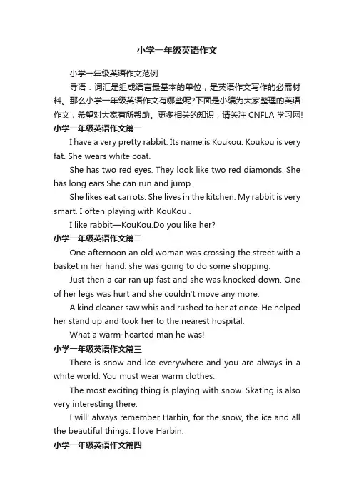 小学一年级英语作文