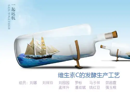维生素C的发酵生产工艺